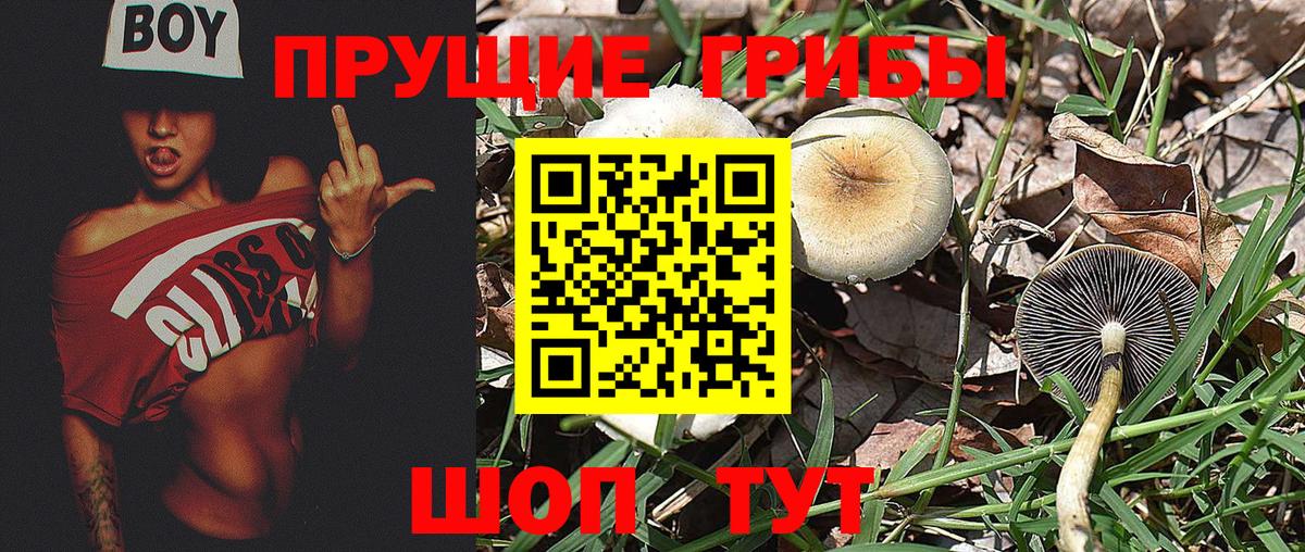 Псилоцибиновые грибы ЛСД Пенза